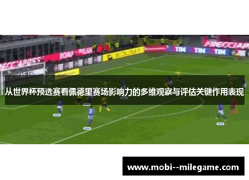 从世界杯预选赛看佩德里赛场影响力的多维观察与评估关键作用表现