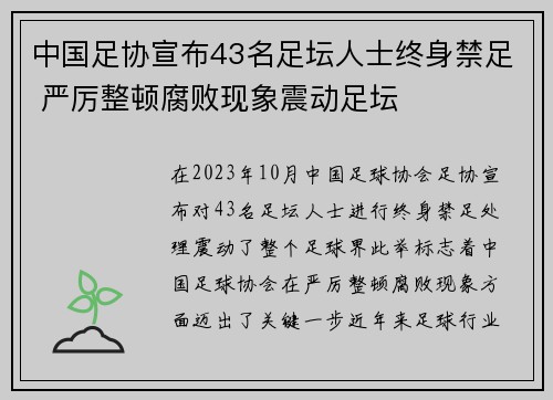 中国足协宣布43名足坛人士终身禁足 严厉整顿腐败现象震动足坛 中国足协宣布43名足坛人士终身禁足 严厉整顿腐败现象震动足坛